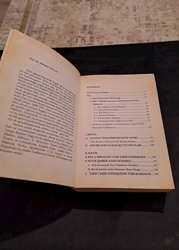 Beden Renk Cumhuriyet Dönemi Çağdaş Türk Romanı 1946-2000