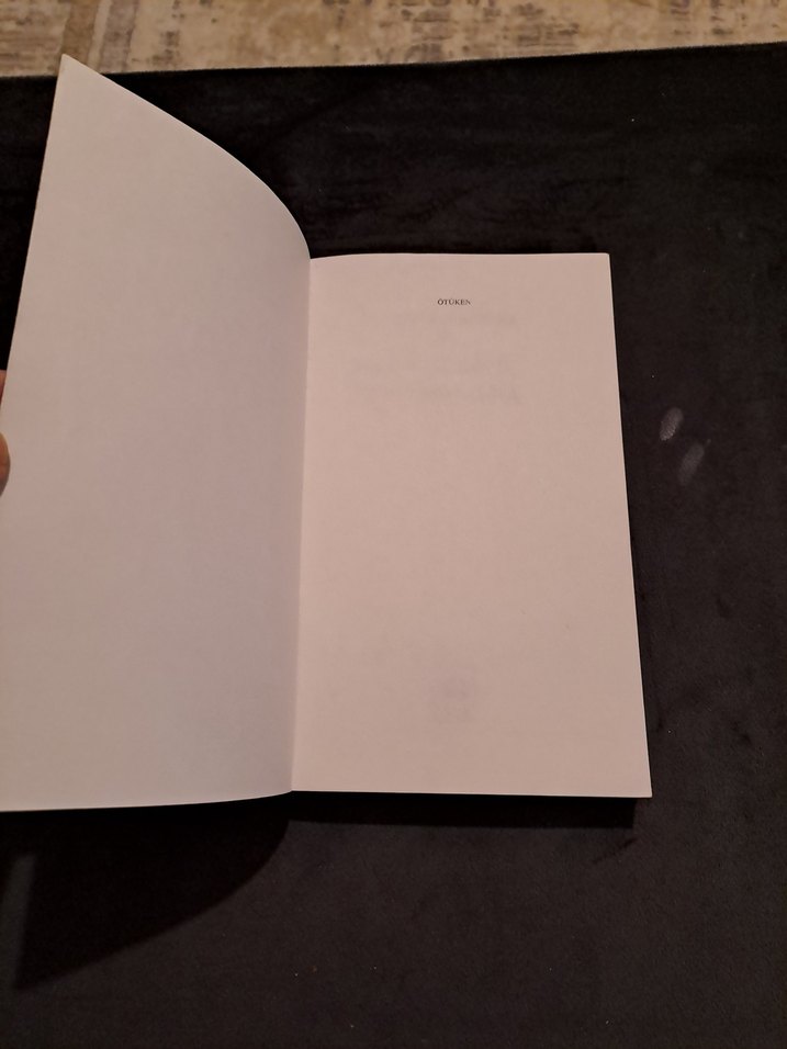 Romancı Yönüyle Peyami Safa - Mehmet Tekin - Görsel 3