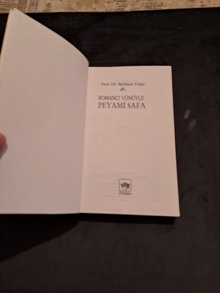 Romancı Yönüyle Peyami Safa - Mehmet Tekin - Görsel 4