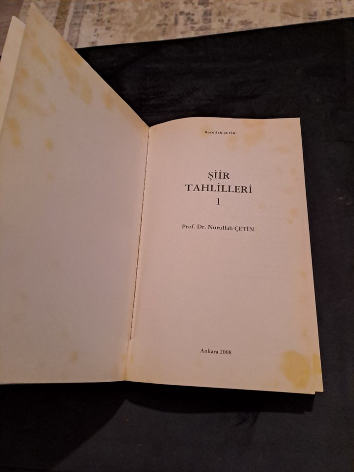 Şiir Tahlilleri 1 - Prof. Dr. Nurullah Çetin - Görsel 3