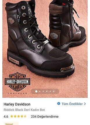 Harley Davidson Harley davidson bot