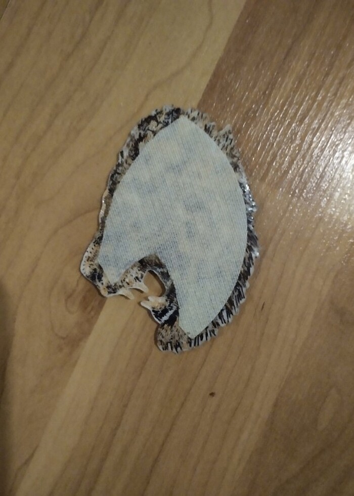 Aslan etiket. 2 adet fiyatı  - Görsel 3