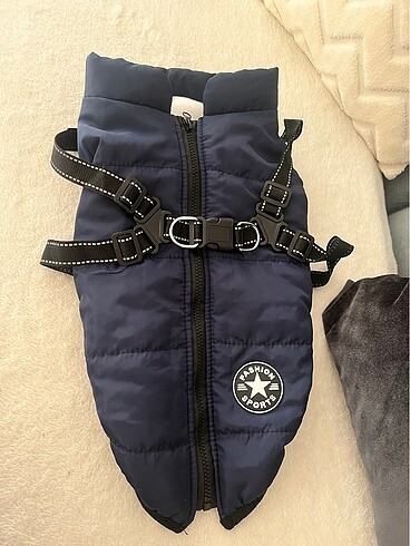 Köpek montu