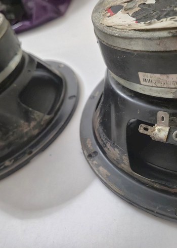 FOR-X 2001 20CM MİDRANGE - Görsel 3