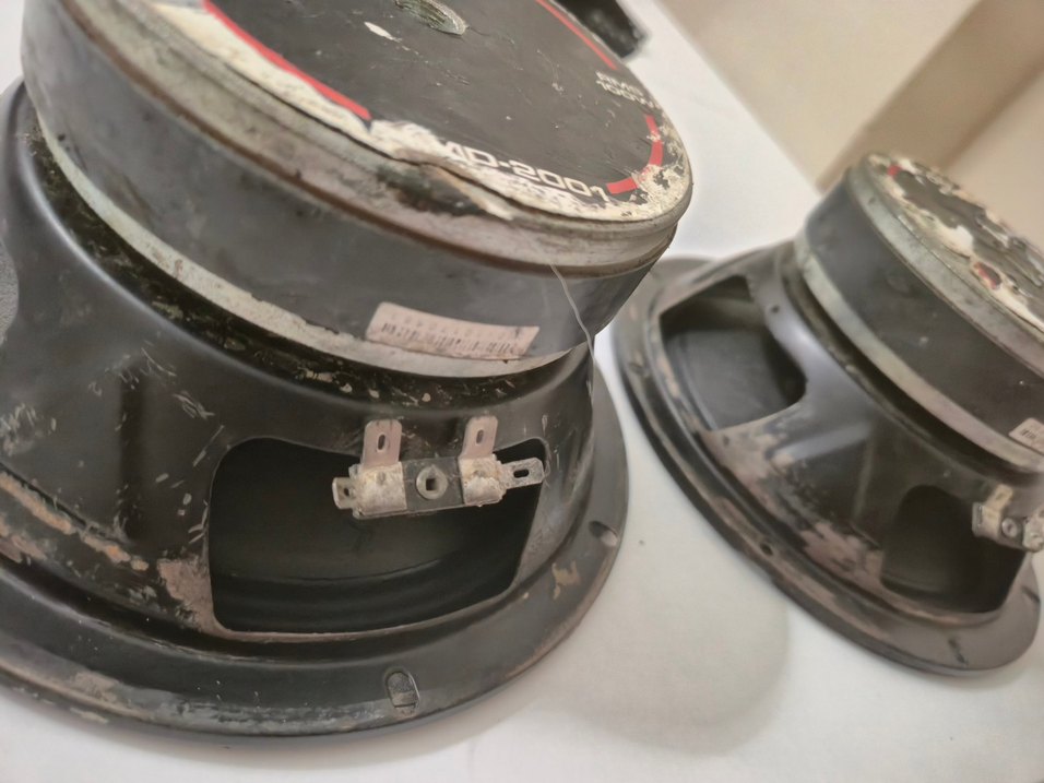 FOR-X 2001 20CM MİDRANGE - Görsel 4