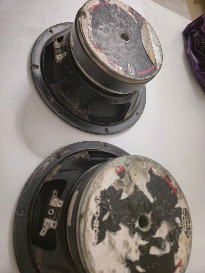 FOR-X 2001 20CM MİDRANGE - Görsel 2