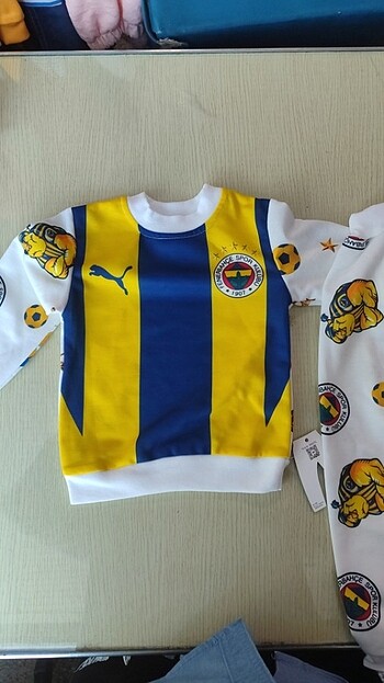 Fenerbahçe takım