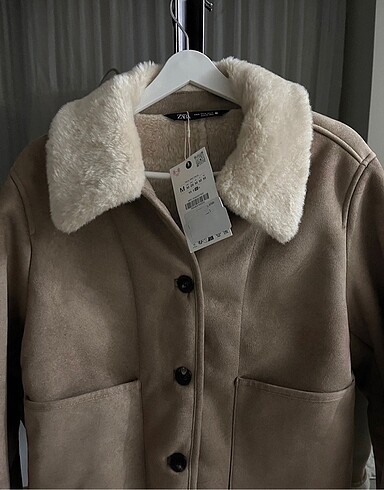 m Beden camel Renk Zara kaban
