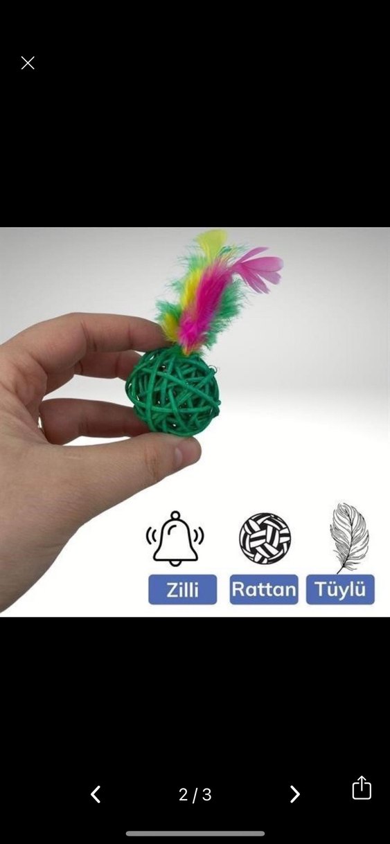 2li ratan evcil hayvan çiğneme topu - Görsel 2