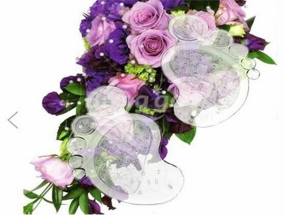 Şeffaf Ayak İzli Göğüs Pedi - Görsel 4