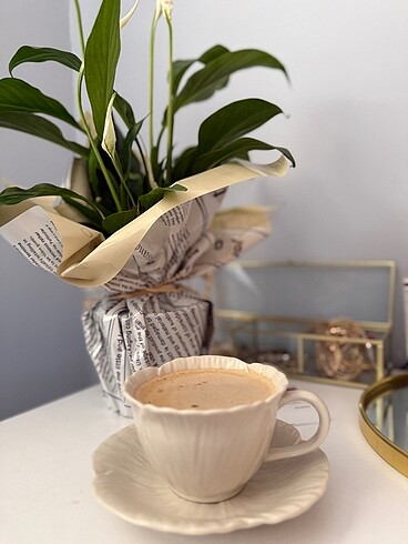 H&M Home Bej Kupa