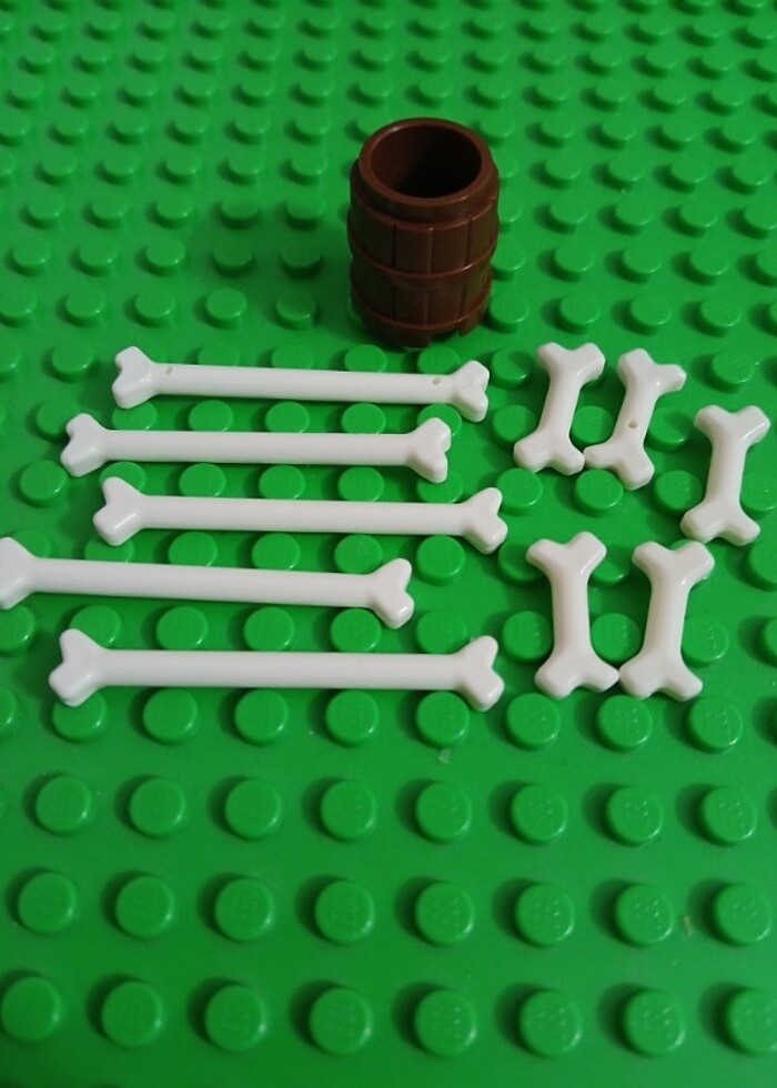 Lego kemik aksesuar - Görsel 2