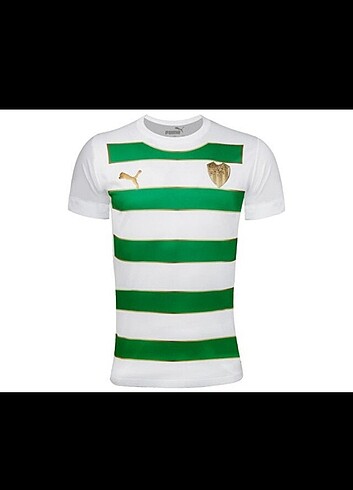 Bursaspor Yetişkin Forması