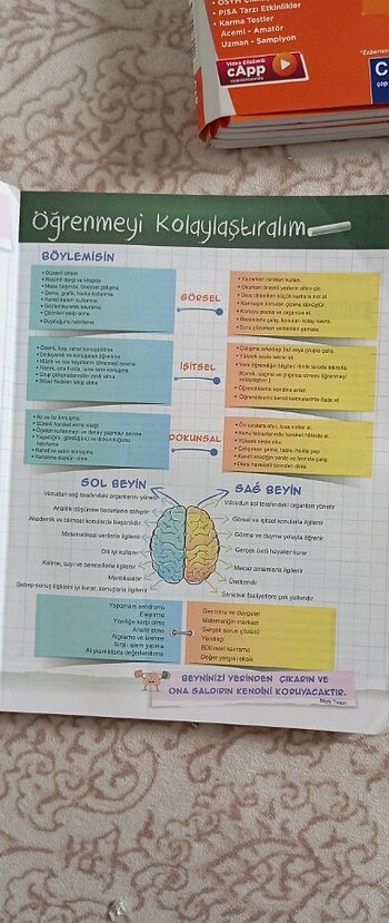  Beden Renk 11. Sınıf matematik yayın Denizi Pro yayınları