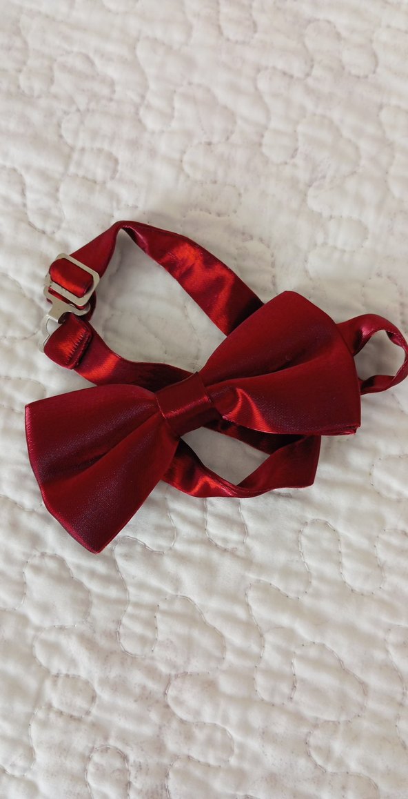 Bordo Parlak Saten Çocuk Papyonu - Görsel 2