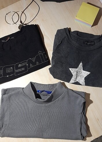 m Beden Star Crop 