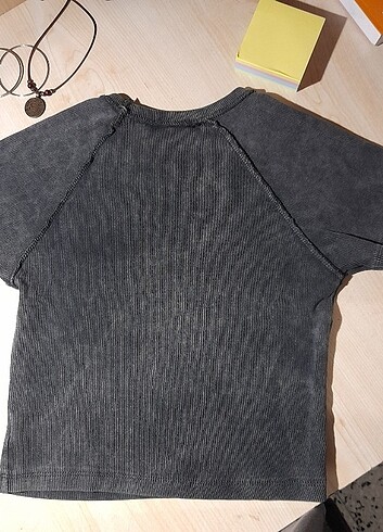 Diğer Star Crop 