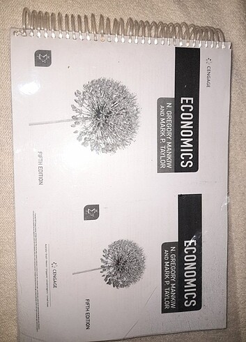 Economics-Mankiw PDF