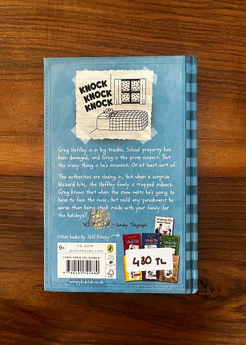 İNGİLİZCE KİTAPTIR Diary of a Wimpy Kid: Cabin Fever - Görsel 2