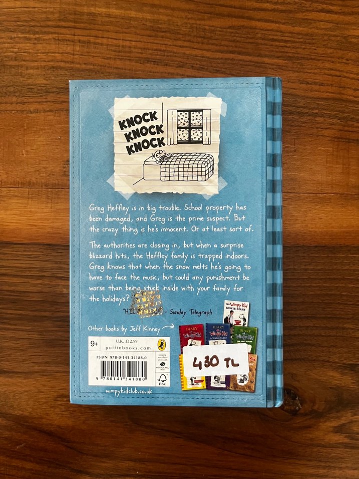 İNGİLİZCE KİTAPTIR Diary of a Wimpy Kid: Cabin Fever - Görsel 2