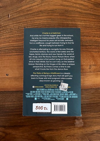 İNGİLİZCE KİTAPTIR The Perks of Being a Wallflower Roman - Görsel 2