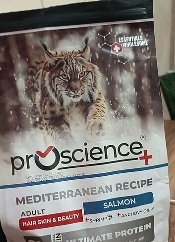 Kedi maması