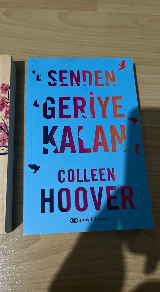 Colleen Hoover 3'lü Roman Seti - Görsel 4