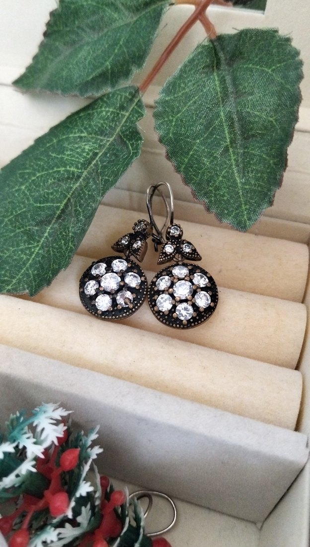 925 Ayar Gümüş Küpe - Görsel 2