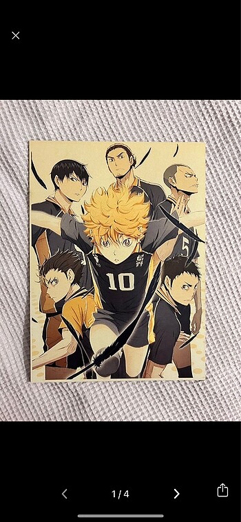 haikyuu duvar süsü 30x22