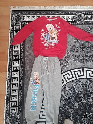 Polar Takım frozen