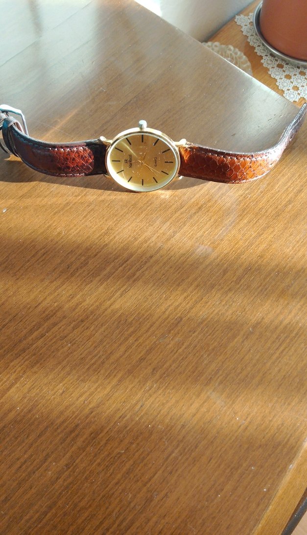 Klasik Tarzda Parlak Kahverengi Kadın Kol Saati - Görsel 3