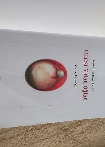 Beden Güneşi Yutan Oğlan - Sevinc Kuşoğlu