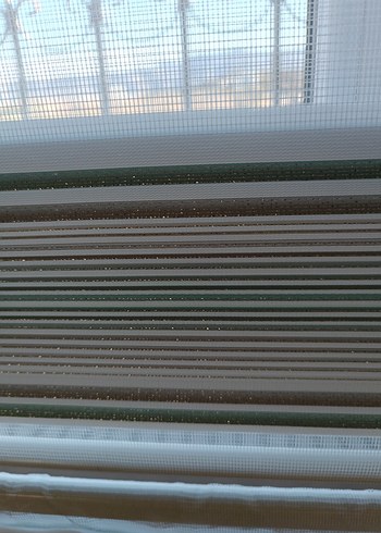 Brillant Zebra Perde (3 Adet) - Görsel 10