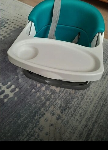 Diğer Ingenuity Mama Sandalyesi