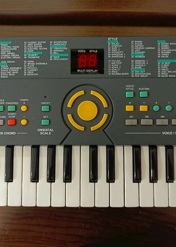 Aral MC101 Başlangıç Orgu - Görsel 2