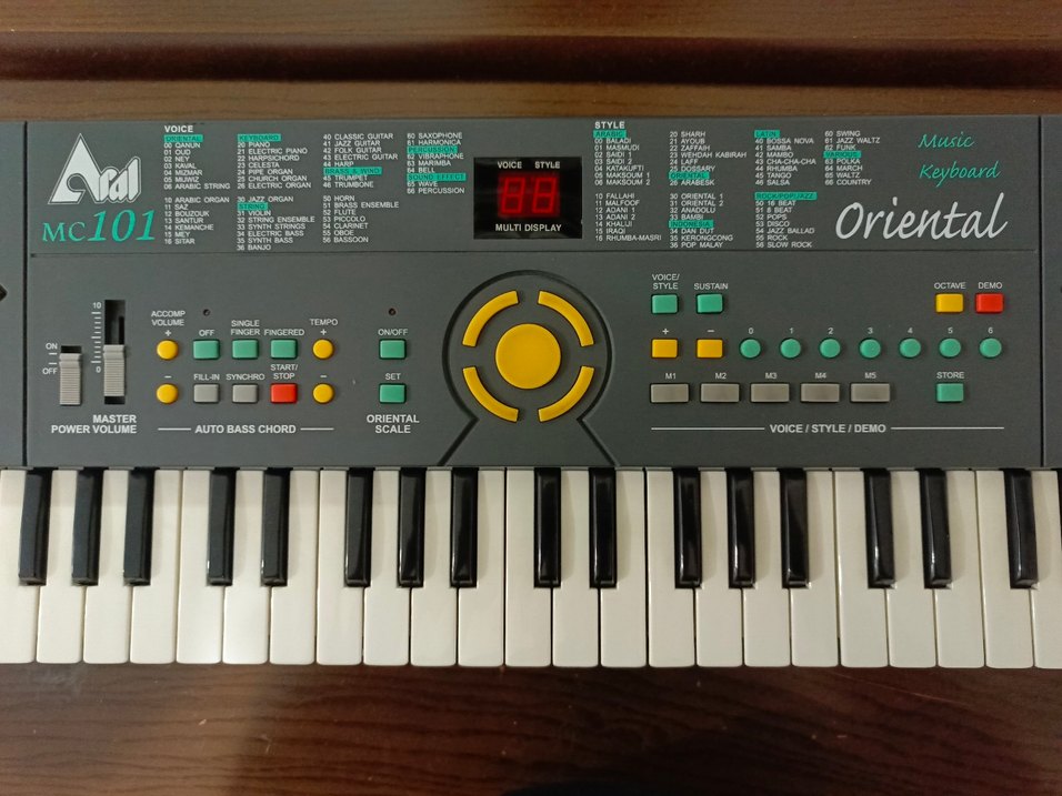 Aral MC101 Başlangıç Orgu - Görsel 2