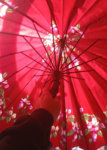 şemsiye - Görsel 2