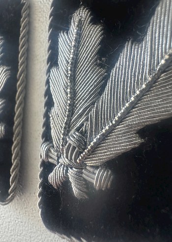 Beden Alman Waffen SS Oberführer yaka arma