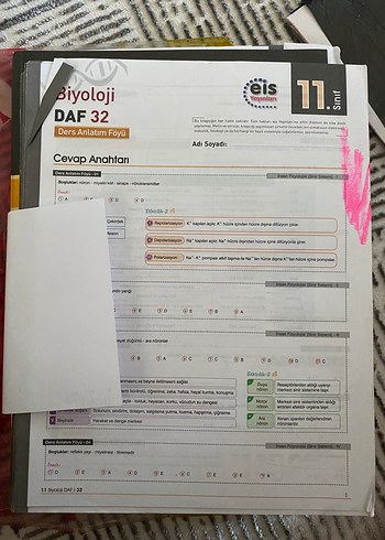 EIS Yayınları 11. Sınıf Biyoloji Ders Anlatım Föyü