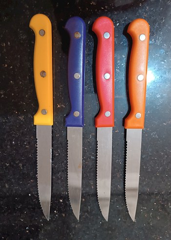 Renkli Saplı 4 Parça Meyve Bıçak Seti - Görsel 4