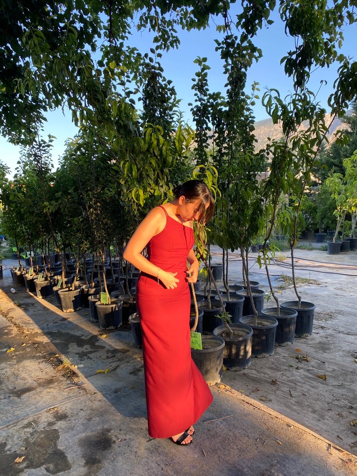 Kırmızı Drapeli Uzun Elbise - Görsel 3