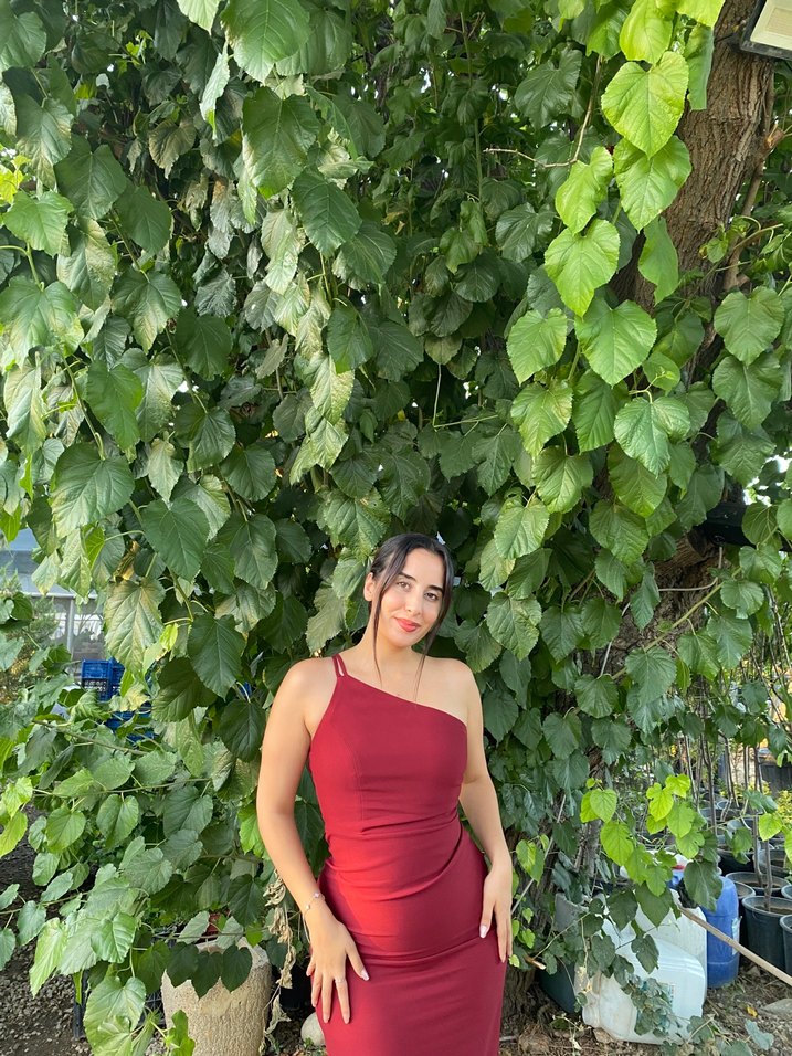 Kırmızı Drapeli Uzun Elbise - Görsel 2