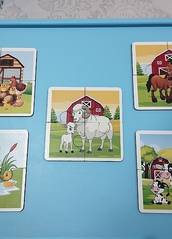 Beden İlk puzzle