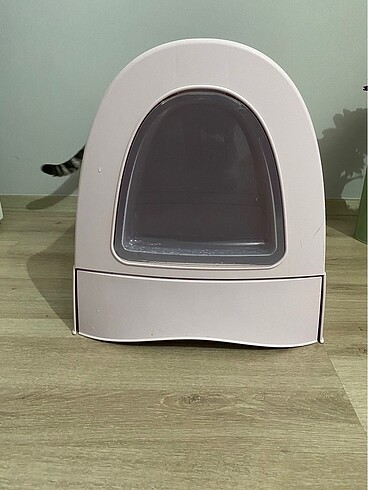 Imac zuma kedi tuvaleti