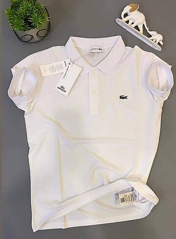 ????NEW SEZON????Lacoste