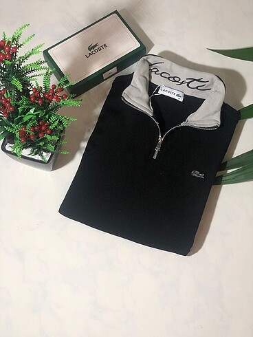 Lacoste sweet