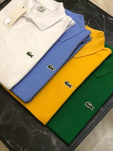 Erkek Polo yaka - Görsel 3