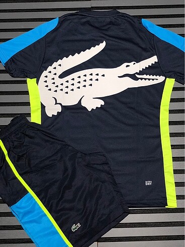 ????lacoste şortlutakım