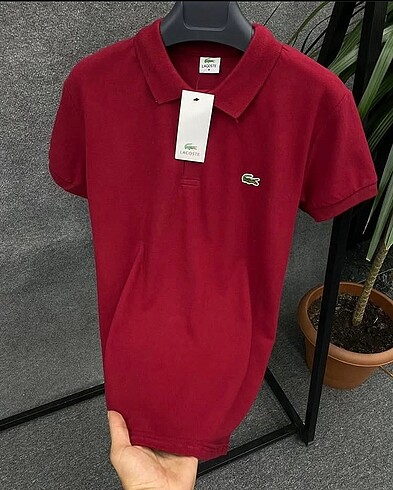 m Beden Lacoste tişort