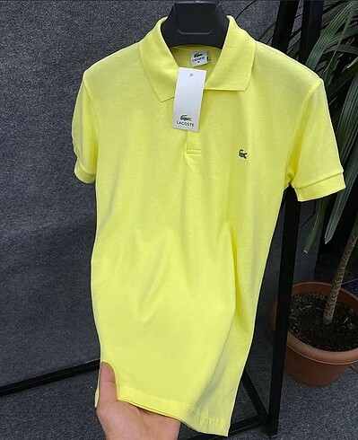 Polo yaka tişort